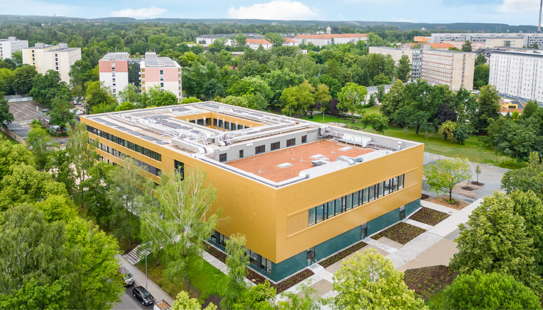 gelbe Oberschule, Vogelperspektive, von Bäumen umgeben